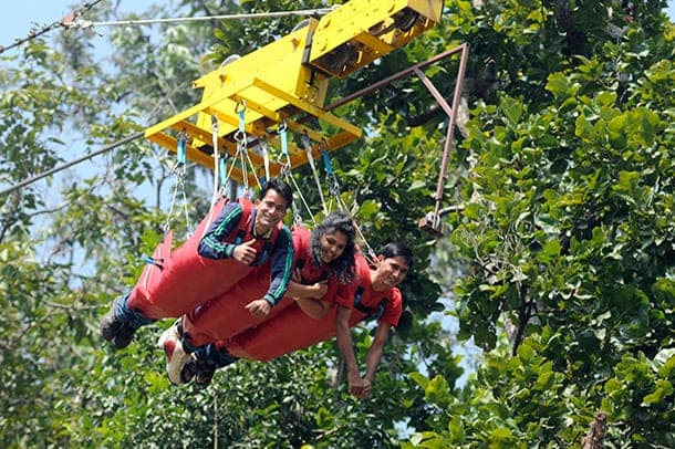 Flying Fox